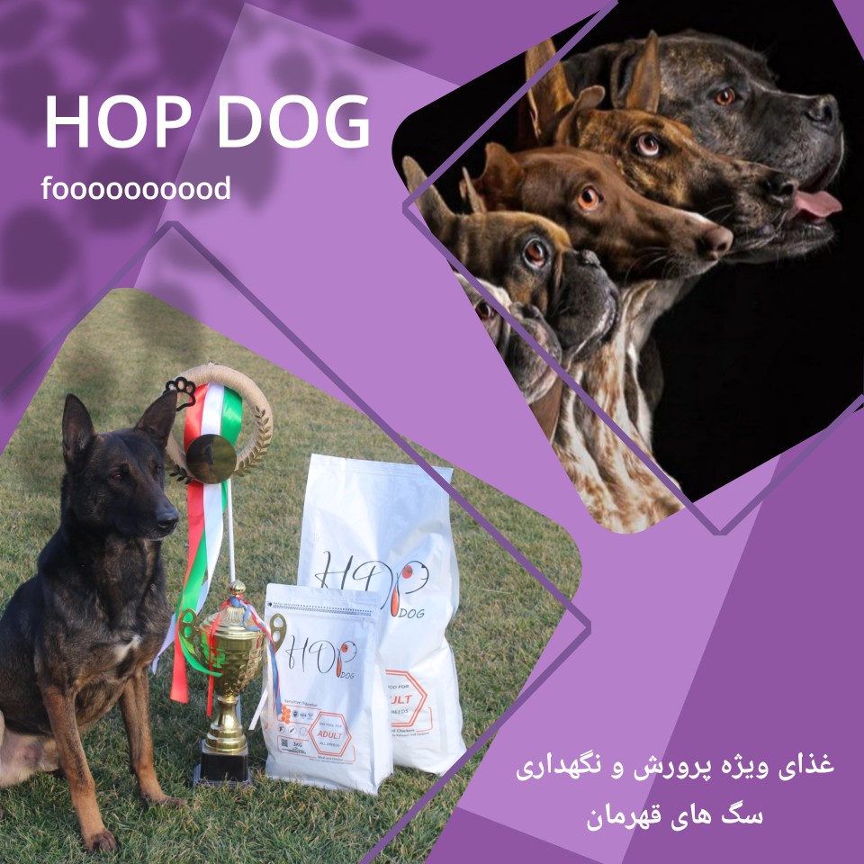 غذا سگ هاپ داگ غذا خشک سگ hopdog خرید غذا سگ 02636331211