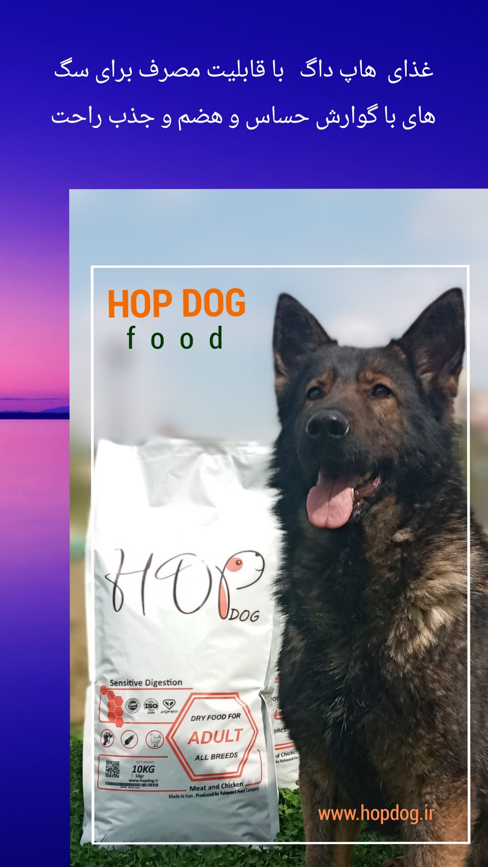 غذا سگ هاپ داگ غذا خشک سگ hopdog