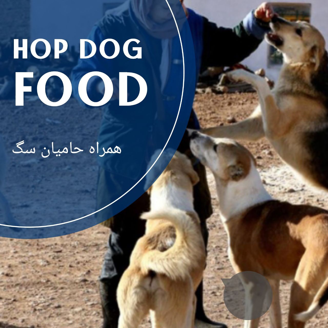 غذا سگ هاپ داگ غذای خشک سگ هاپ داگ hopdog یار حامیان سگ های بی سرپرست 