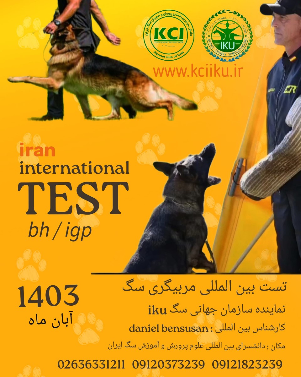 تست مربی سگ توسط کارشناس و قهرمان جهان اخذ مدرک بین المللی bh و igp