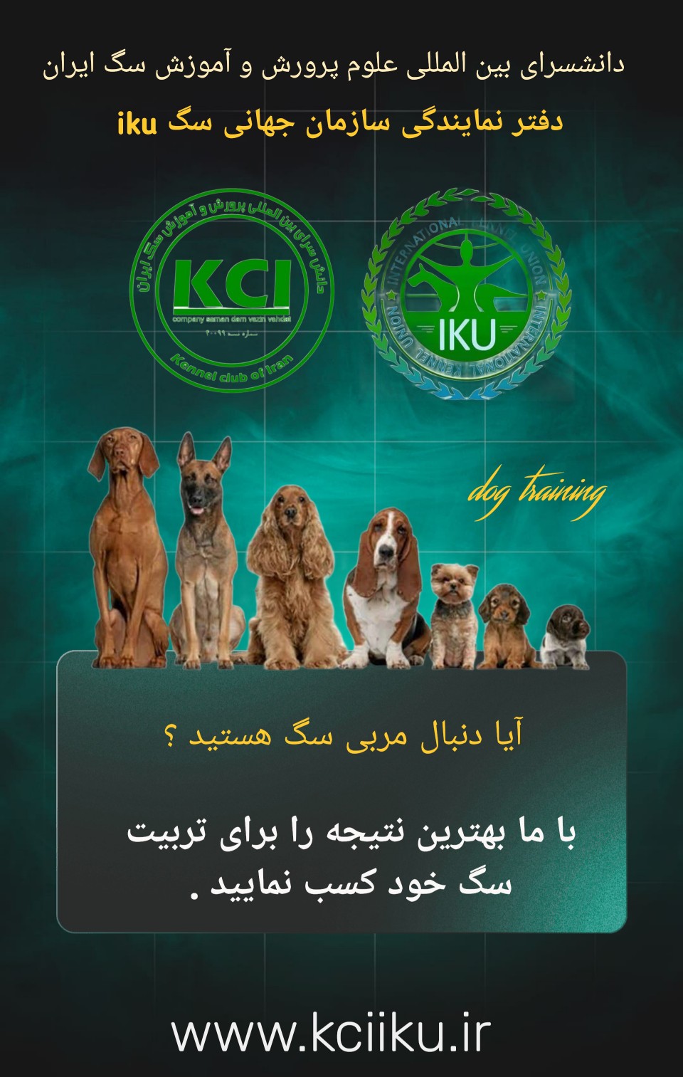 مربی سگ در کلاس مربیگری سگ 