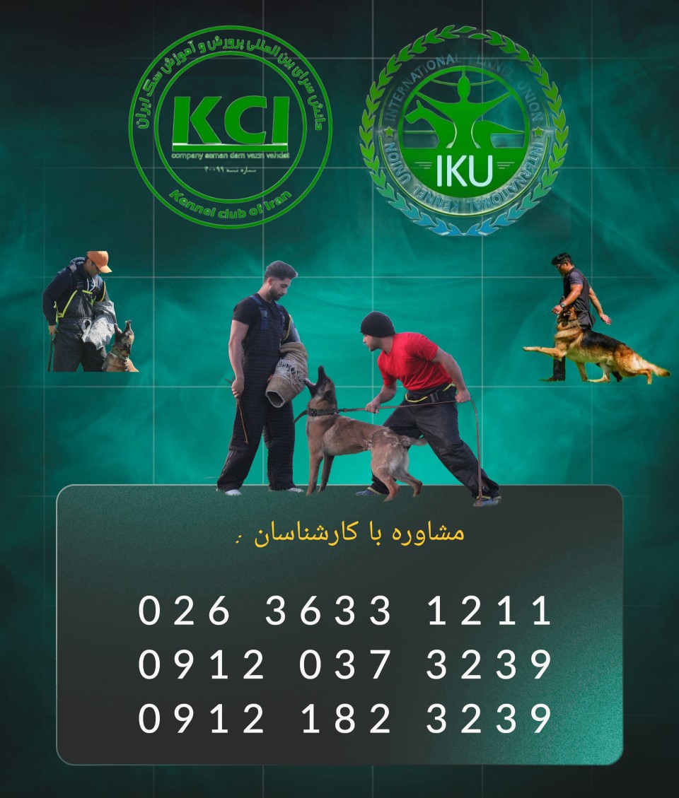 مربی سگ آموزش سگ تربیت سگ 