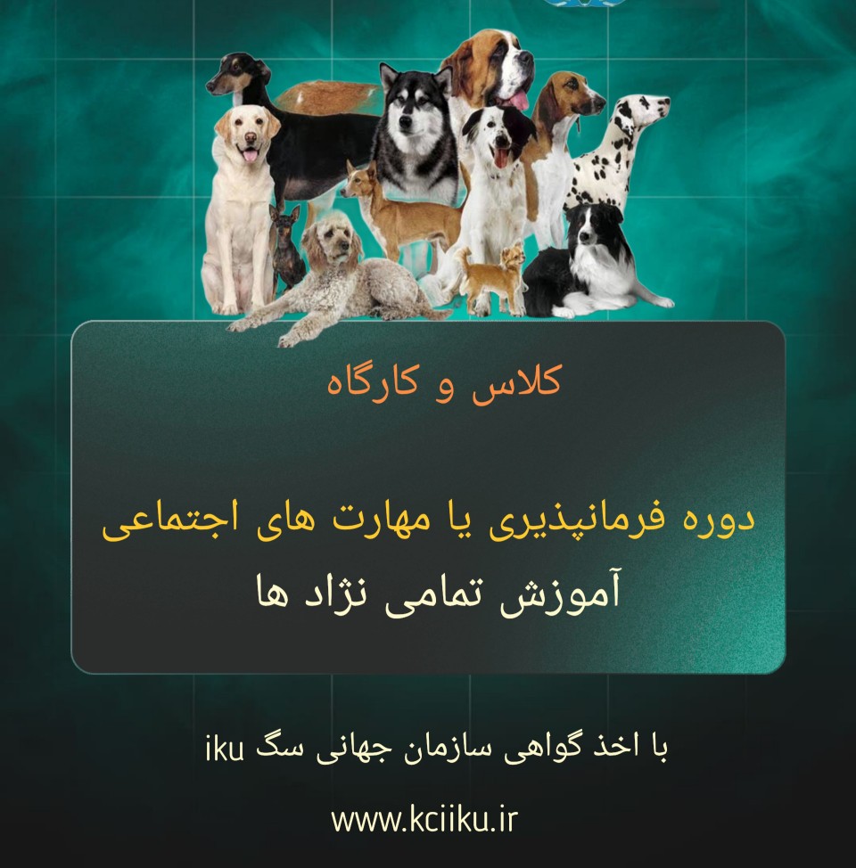 مربی سگ آموزش دستشویی سگ 