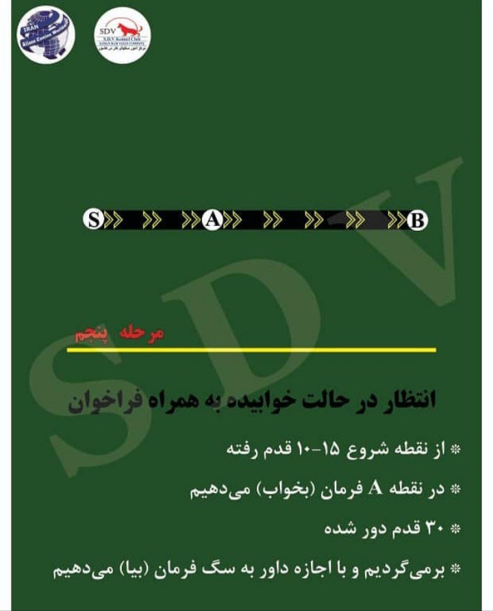 مدرک بین المللی مربیگری سگ bh  تست مربی سگ 