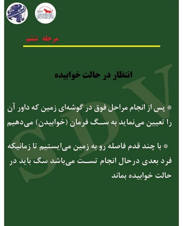 مربی سگ bh  تست مربیگری بین المللی 