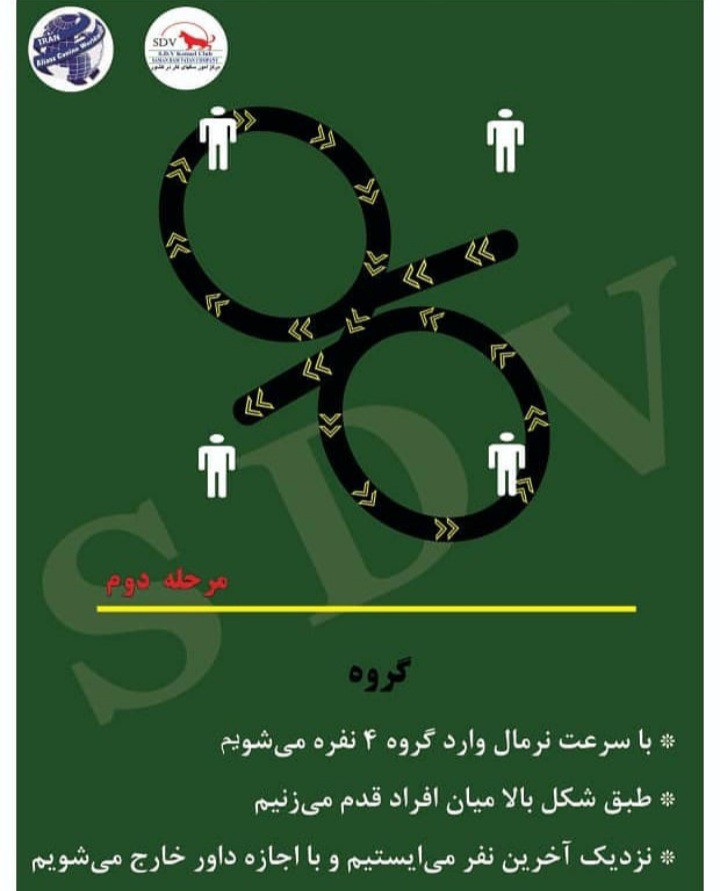 تست مربیگری سگ bh مدرک مربی سگ bh 