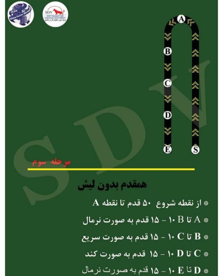 مربی سگ bh تست مربیگری سگ بین المللی 