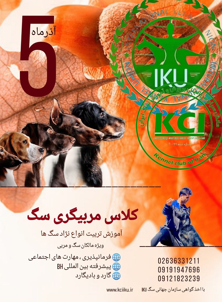 کلاس مربیگری سگ نماینده سازمان جهانی سگ | ویژه مالکان سگ و مربیان کلاس مربیگری سگ نماینده سازمان جهانی سگ | ویژه مالکان سگ و مربیان