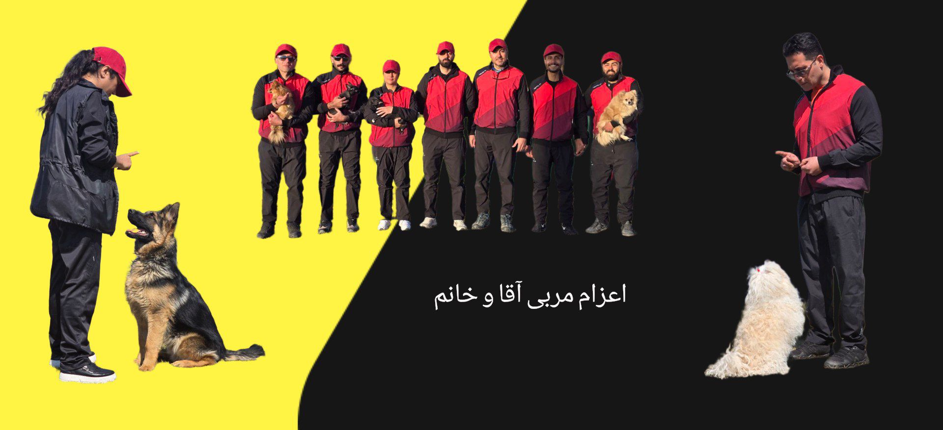 مربی سگ | آموزش سگ | تربیت سگ | الو مربی سگ 