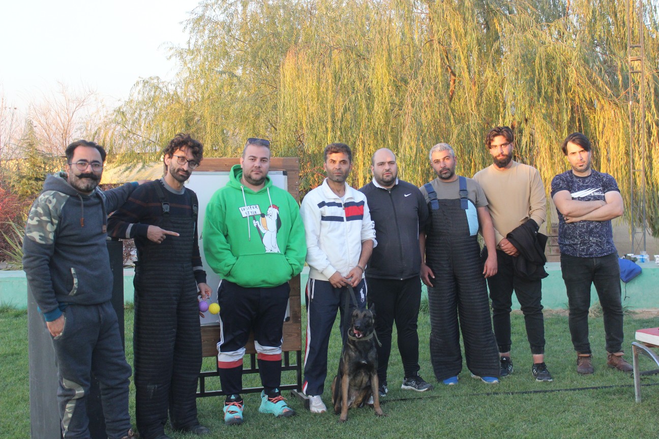 مربی سگ گارد و نگهبان 