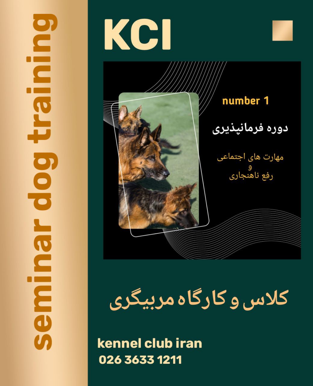 تصویر کلاس مربیگری سگ | تربیت انواع نژاد سگ 