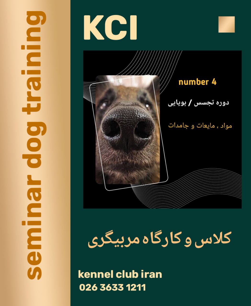 تصویر کلاس مربیگری سگ | تجسس و بویایی سگ