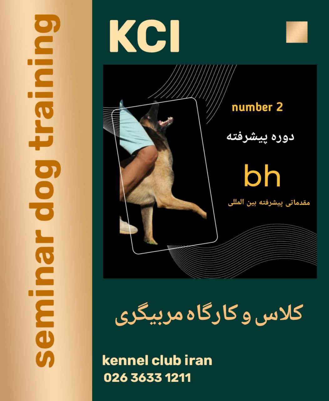 تصویر کلاس مربیگری سگ | تربیت پیشرفته بین المللی bh