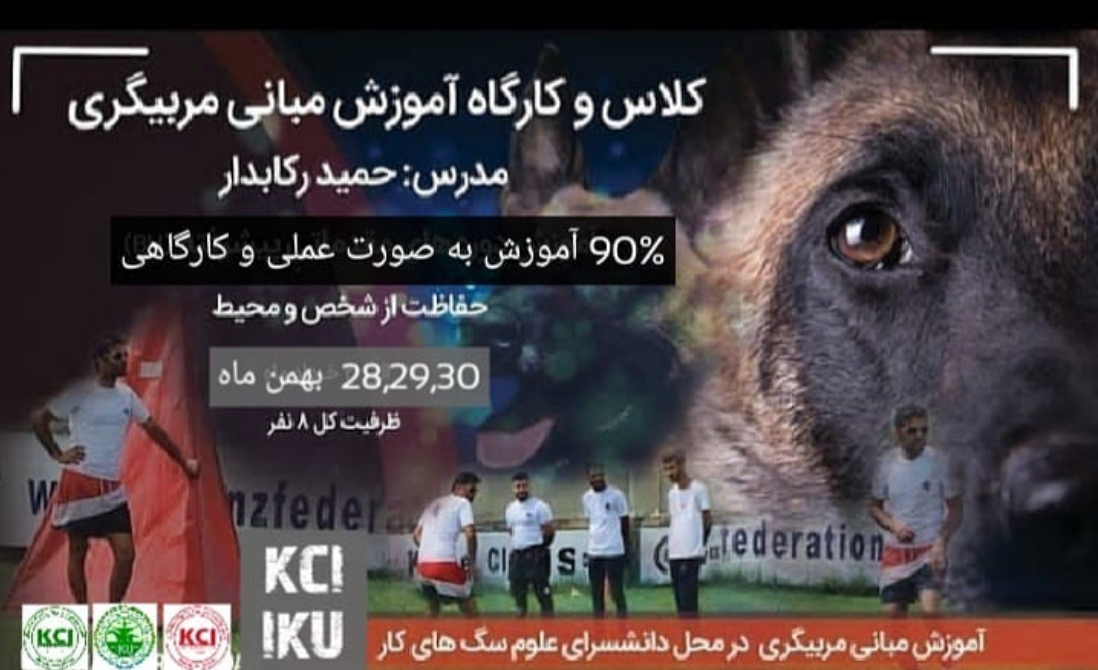 ثبت نام كلاس و كارگاه تخصصى مربيگرى سگ استان البرز با اخذ مدرك بين المللى kci 