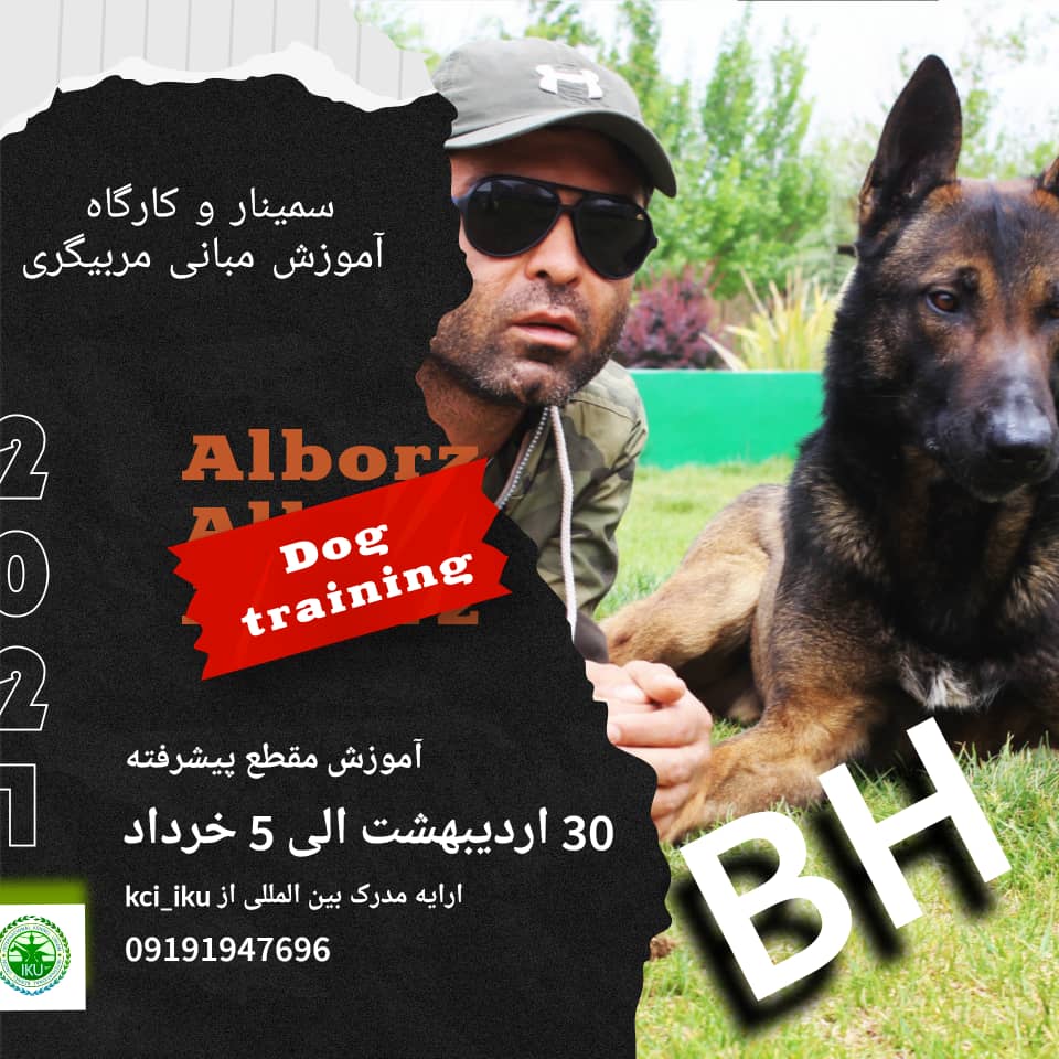 کلاس آموزش مربیگری سگ در کرج/سمینار مربیگری سگ در تهران