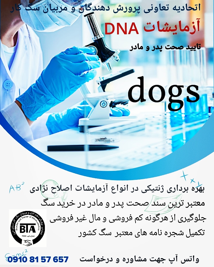 آزمایشات dna سگ برای اولین بار و جلوگیری از تقلب در فروش سگ 