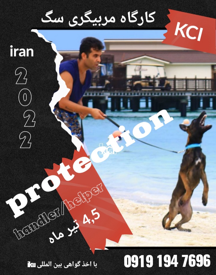 کلاس و کارگاه اموزش سگ در دانش سرای ایران kci