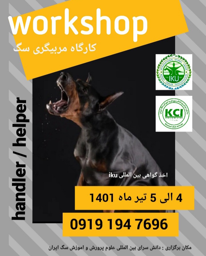 ثبت نام کارگاه های تخصصی آموزش مربیگری سگ  kci آغاز شد . 