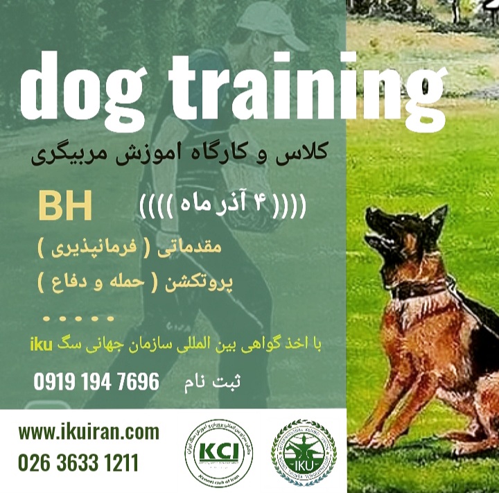 کلاس مربیگری سگ (چهارم اذر ماه با اخذ گواهی بین المللی iku)