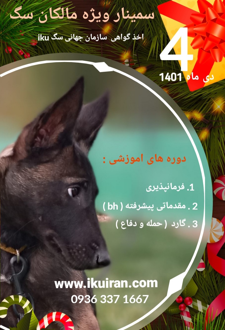  آموزش سگ / مربیگری سگ / سمینار مربیگری سگ /مالکان سگ /چهارم دی ماه برگزار میگردد .