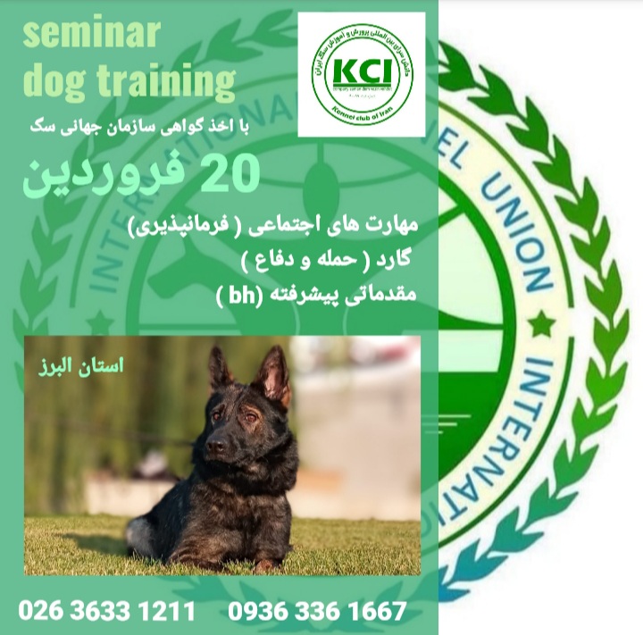 کلاس و کارگاه آموزش سگ  کار/ ۲۰ فروردین /دانش سرای ایران 